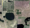 Trout Lake Mickey